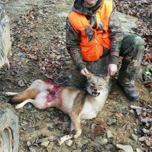 Meet your Posher, Austin